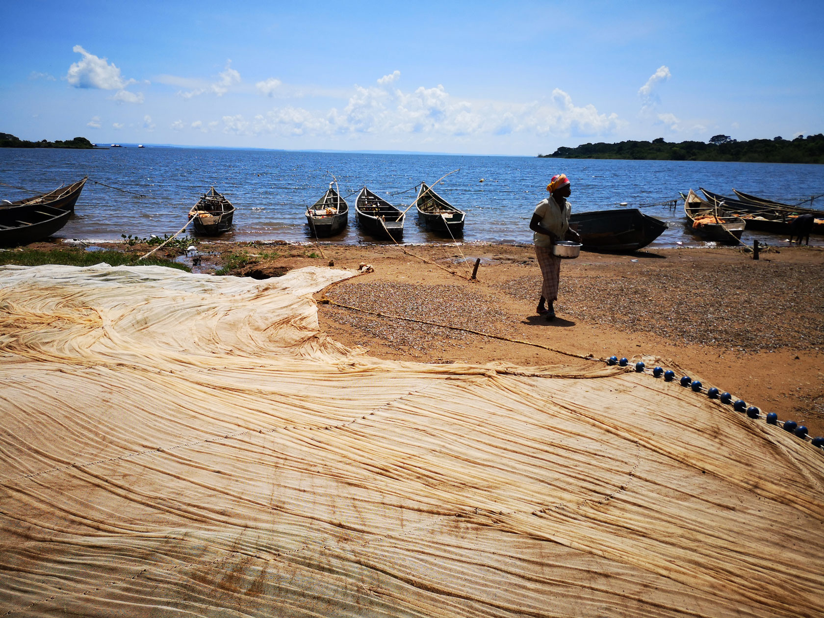 Fischernetze am Ufer des Viktoriasees in Afrika.